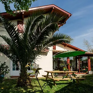  Hostel Nami House